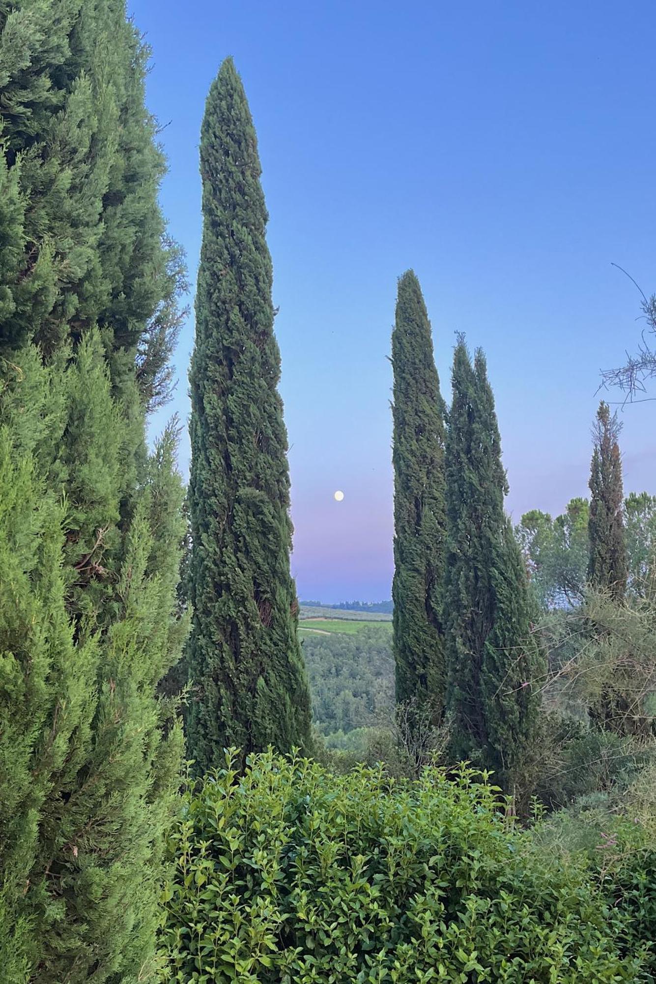Villa Tre Colli - In The Heart Of Tuscany Certaldo Zewnętrze zdjęcie